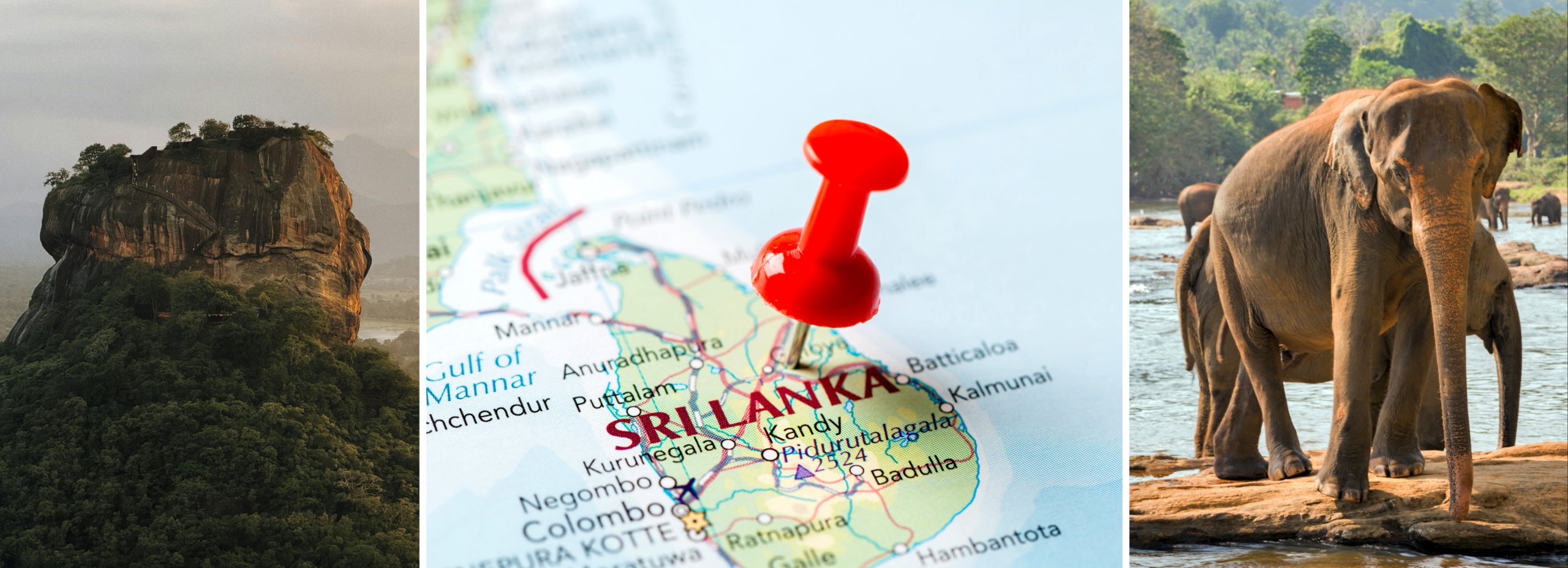 Discover the Complete Sri Lanka Experience