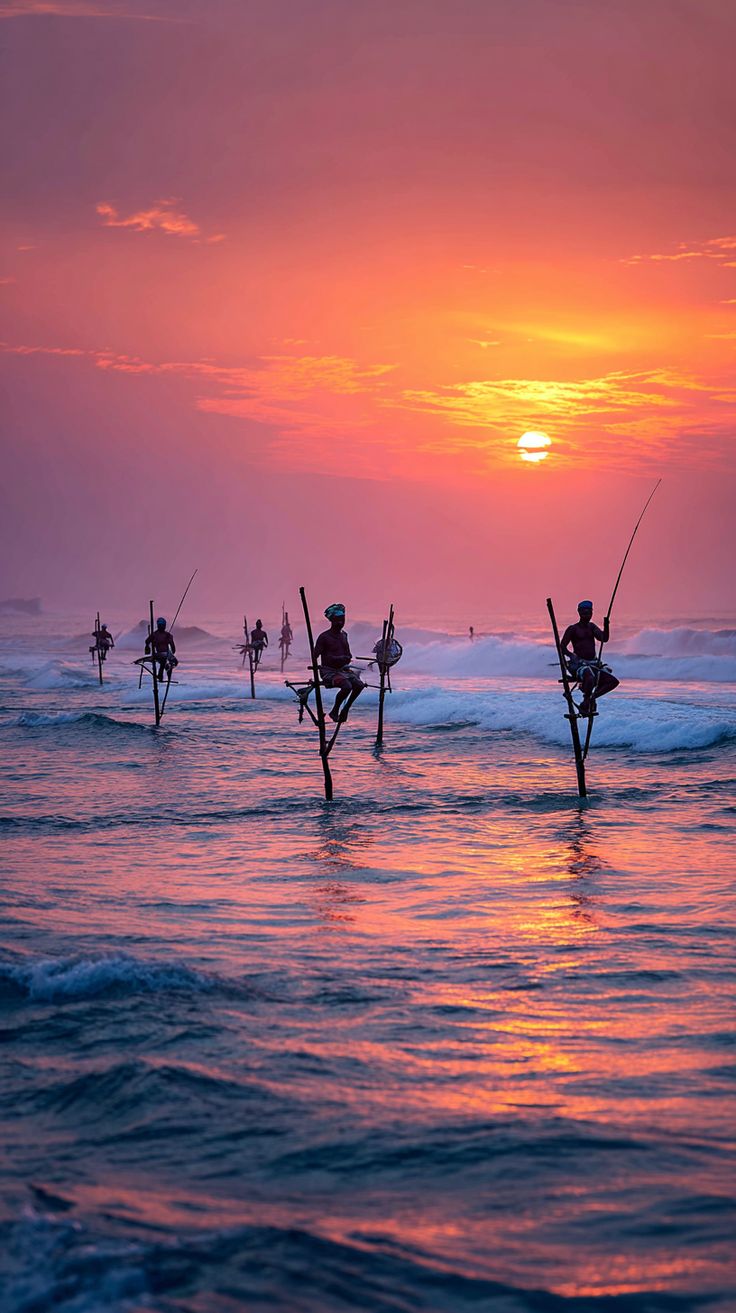 Golden coastline in Sri Lanka